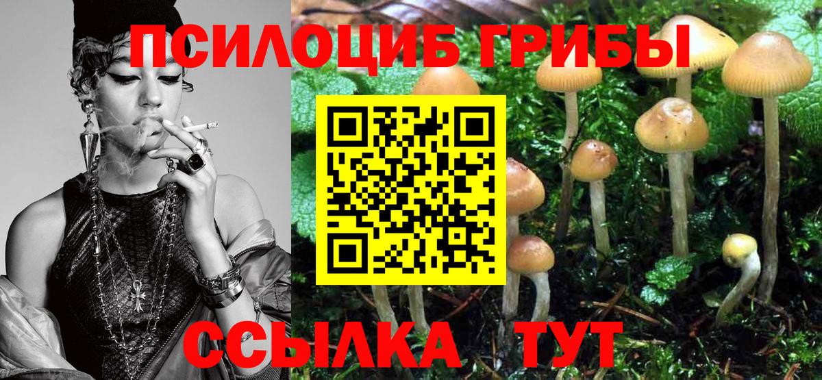 Псилоцибиновые грибы MAGIC MUSHROOMS  Вход с VPN  Моршанск 