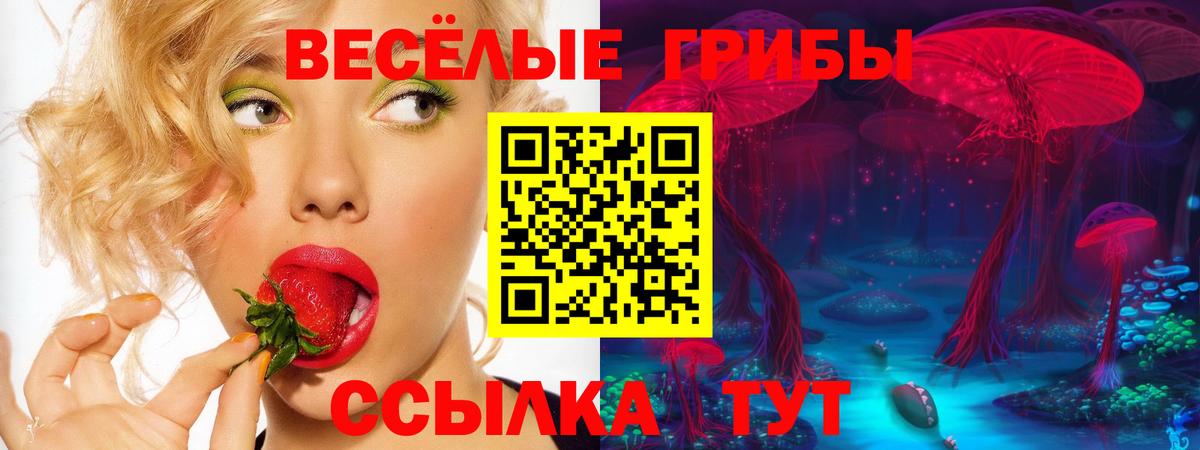 Псилоцибиновые грибы прущие грибы Моршанск